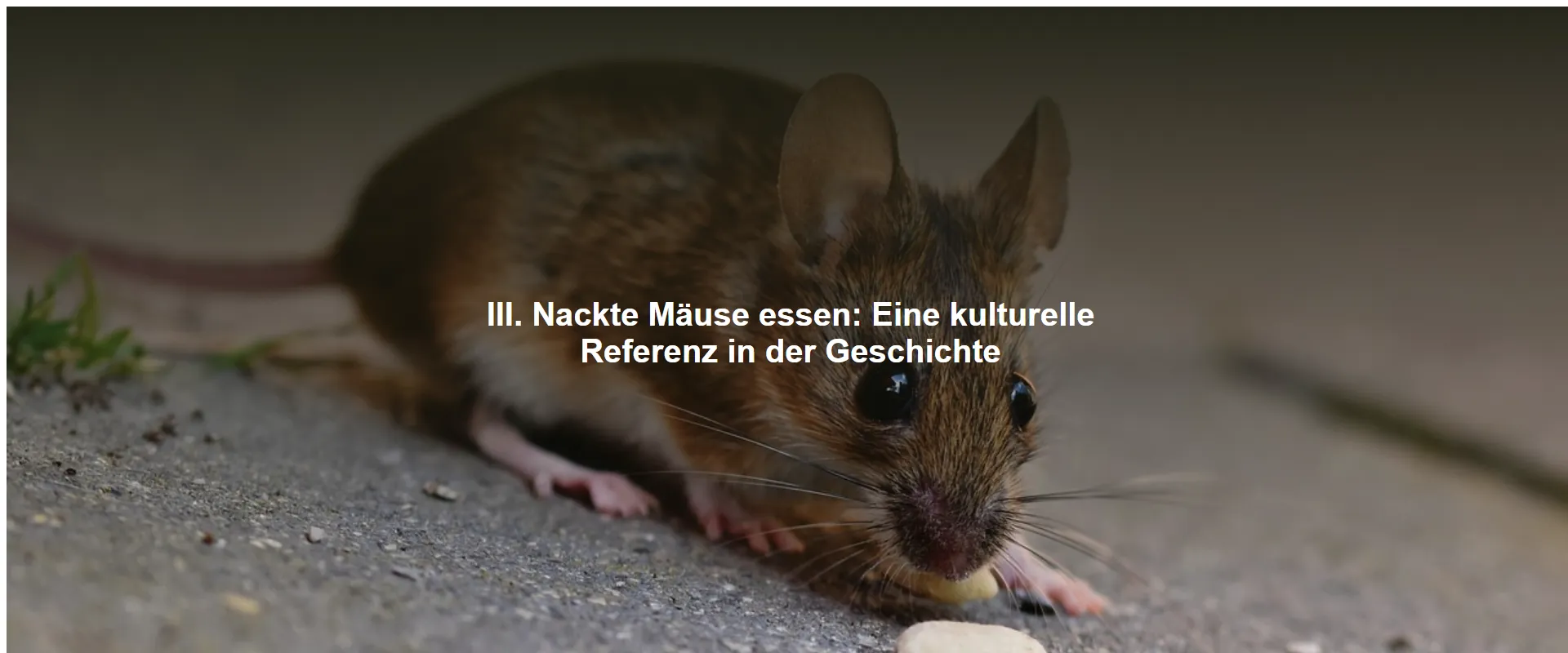 Nackte Mäuse essen: Eine kulturelle Referenz in der Geschichte