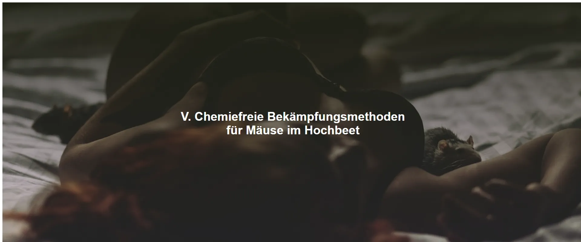 Chemiefreie Bekämpfungsmethoden für Mäuse im Hochbeet